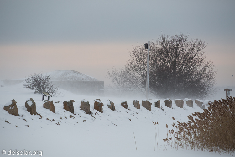 Canon EOS 5D Mark III  --  163 mm  --  EF70-200mm f/4L USM  
