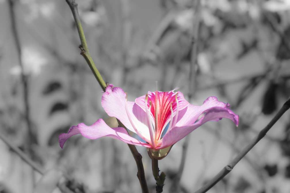Canon EOS R7  --   -- 1/320 sec -- ISO 200 -- 0 EV -- 
