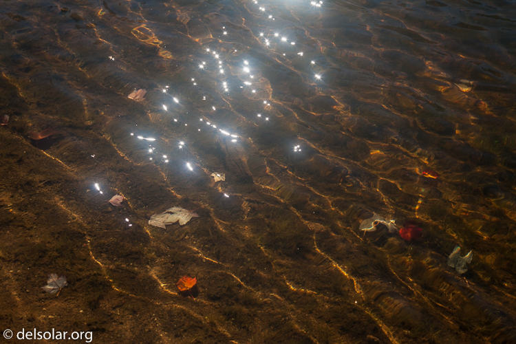 Canon EOS 5D Mark II  --  60 mm  --  EF24-105mm f/4L IS USM  